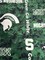 Licensed NCAA Michigan State University Digi Fleece MIST-1122 Fabric by the Yard